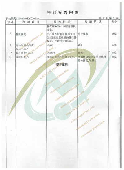 重庆凯荣机械有限责任公司手拉葫芦检验报告